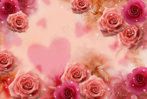 浪漫玫瑰图片