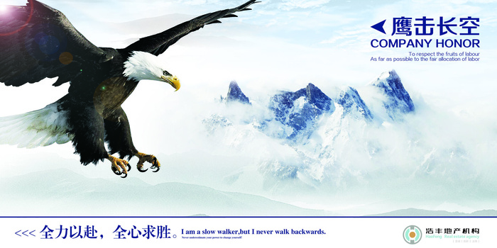 鹰击长空企业文化免费下载
