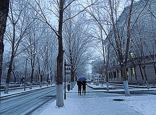 哈尔滨学院校园雪景图片
