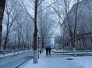 哈尔滨学院校园雪景图片