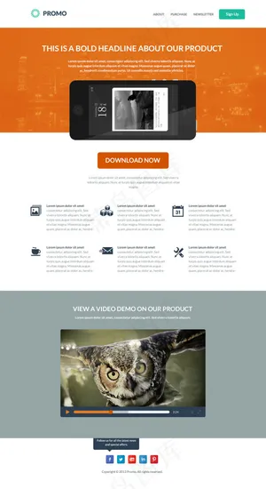 APP网站设计模板