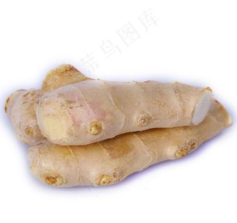 生姜图片