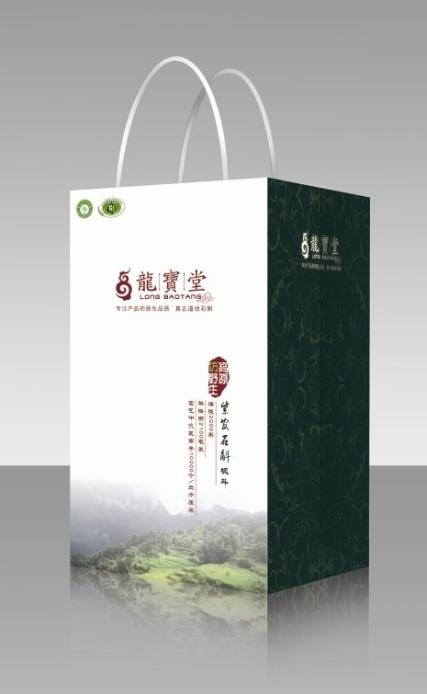 龙宝堂手提袋设计（展开图）图片cdr矢量模版下载