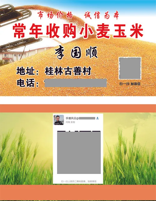 大量收购玉米 李国顺psd模版下载