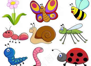 昆虫图片