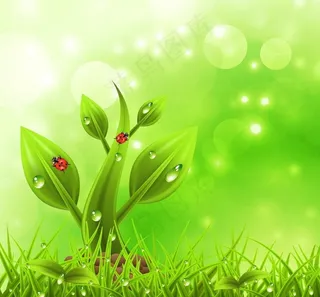 绿色环保背景图片