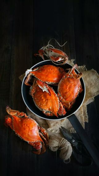 螃蟹高清摄影图片