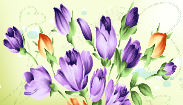 郁金香 350x200