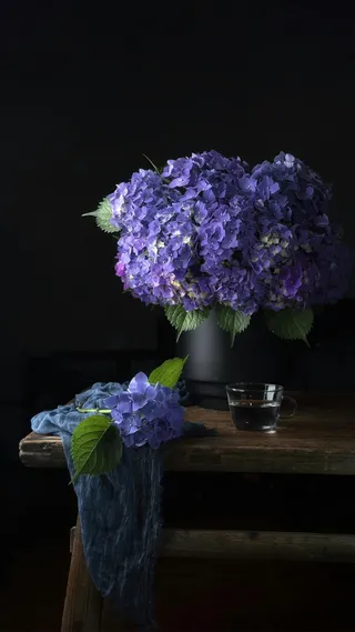 暗色调背景花艺高清摄影图片