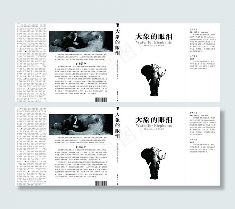 大象的眼泪 封面设计图片
