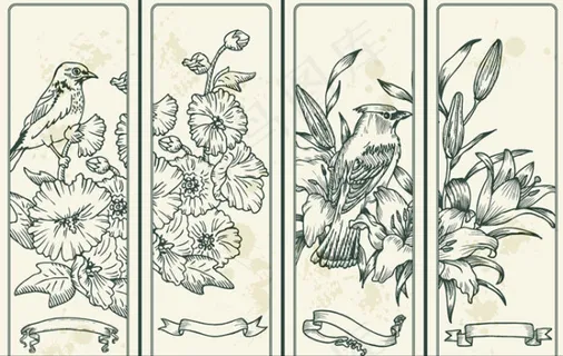 线描花鸟插画设计矢量素材