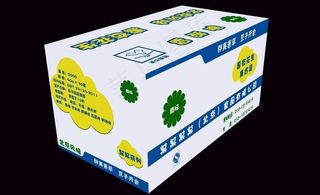 食品公司纸箱包装（展开图）图片