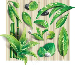 各种逼真翠绿树叶矢量图