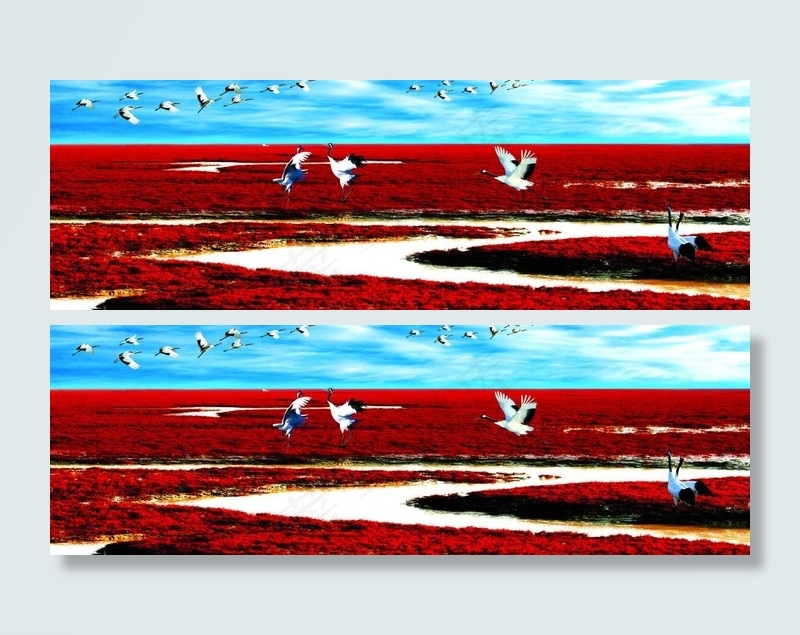 盘锦大洼红海滩图片(7800X3000(DPI:28))psd模版下载