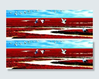 盘锦大洼红海滩图片