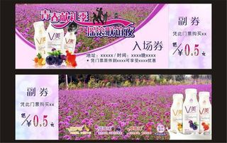 入场券 门票图片