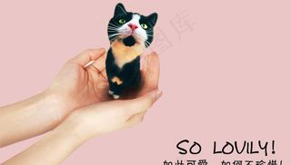 可爱小猫电脑壁纸设计图片