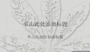 树叶背景PPT模板