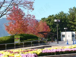 日本风光 公园美景图片