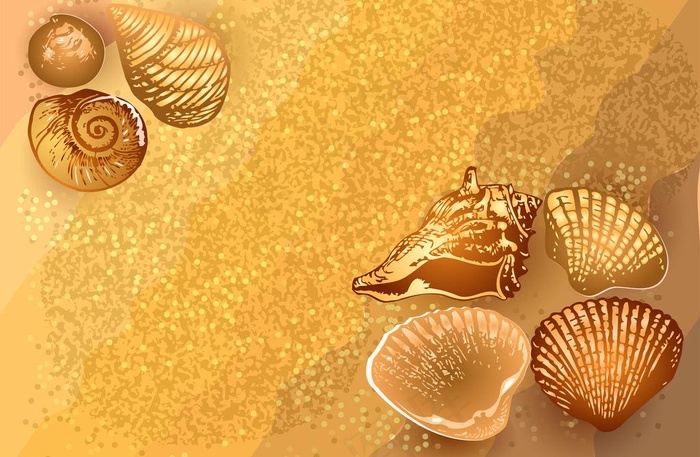 夏季海滩背景图片