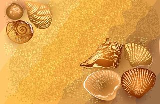 夏季海滩背景图片