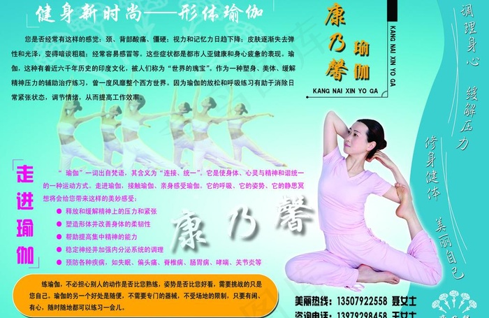 康乃馨图片