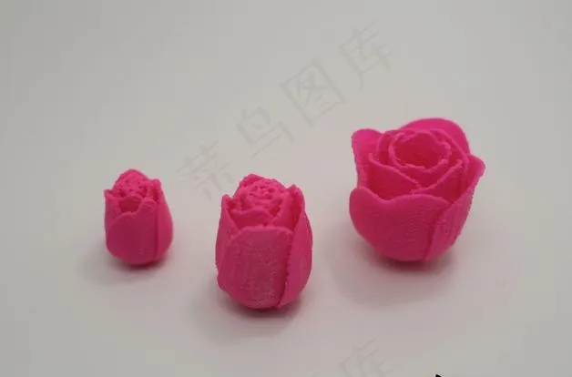 周年纪念的玫瑰