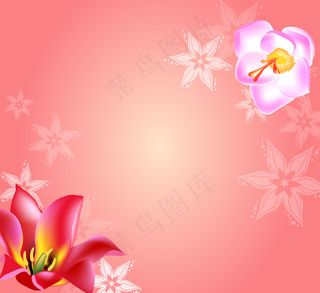 菊花 玫瑰 百合 枫树 紫色