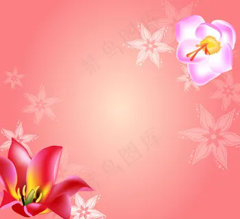 菊花 玫瑰 百合 枫树 紫色 菊花 玫瑰 百合 枫树 紫色