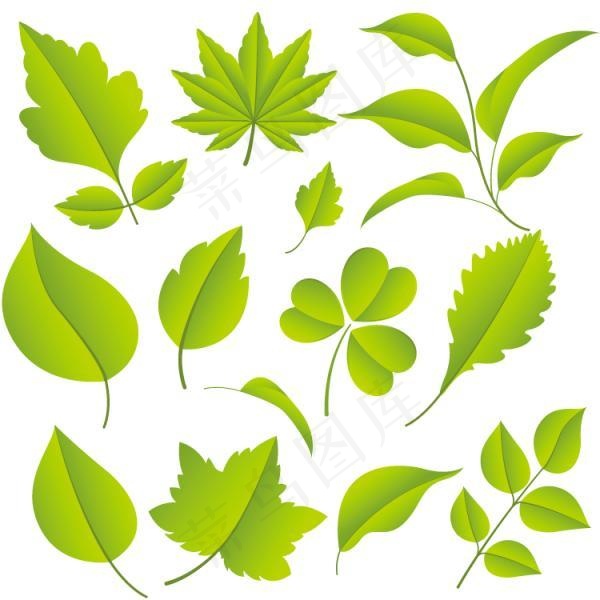 小清新绿色树叶矢量图