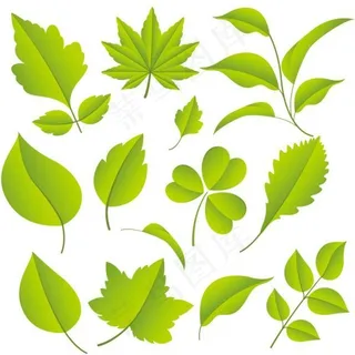 小清新绿色树叶矢量图