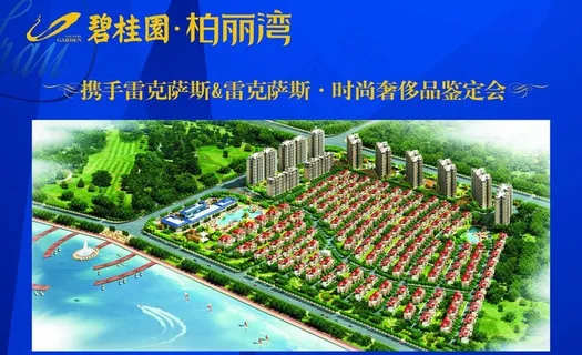 碧桂园柏丽湾雷克萨斯烧烤图片