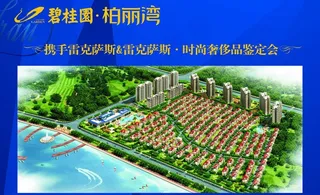 碧桂园柏丽湾雷克萨斯烧烤图片