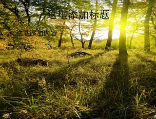 夕阳下的野草树林高清PPT模板范...