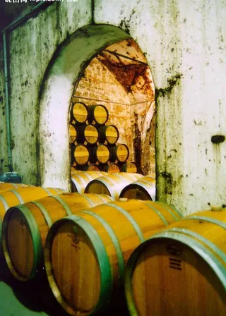 酒窖 葡萄地 橡木桶图片