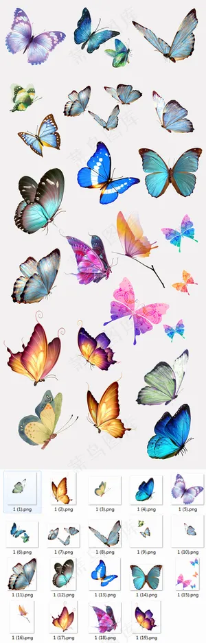 小蝴蝶飞舞元素免抠元素PNG合集