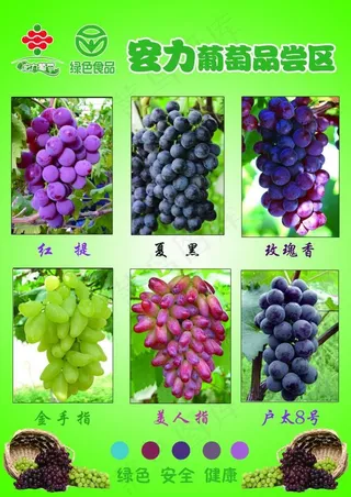 宏力葡萄展板