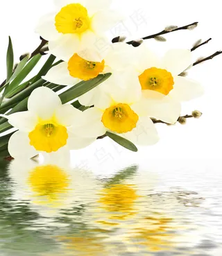 水中花束倒影图