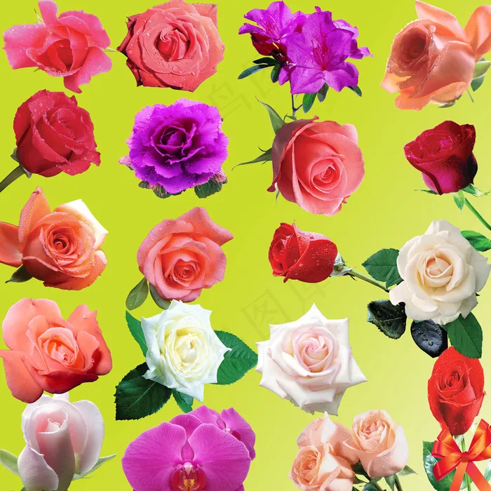 鲜花素材图片