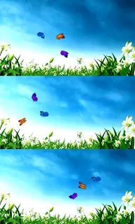 高清百合花蝴蝶飞舞蓝天白云视频 高清百合花蝴蝶飞舞蓝天白云视频