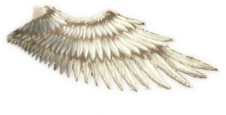 半边羽毛天使翅膀美工视觉设计免扣素材