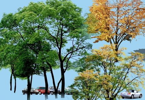 园林景观花草树林鸟瞰透视效果图ps...