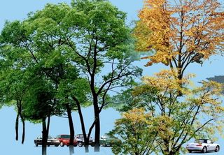 园林景观花草树林鸟瞰透视效果图ps...