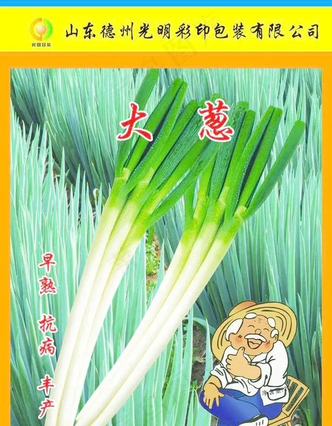 蔬菜包装图片(1890X2835(DPI:300))psd模版下载
