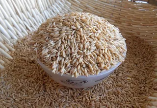 东北有机燕麦米图片