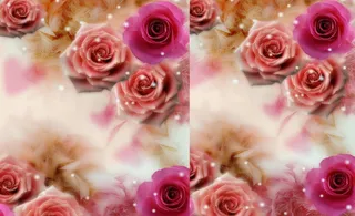 浪漫玫瑰背景图片