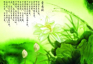 莲花 荷花 水墨画图片