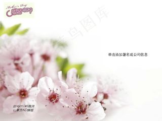 感恩母亲节康乃馨PPT模板