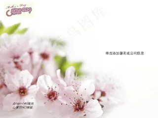 感恩母亲节康乃馨PPT模板