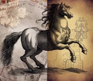 欧洲奔马素描分层